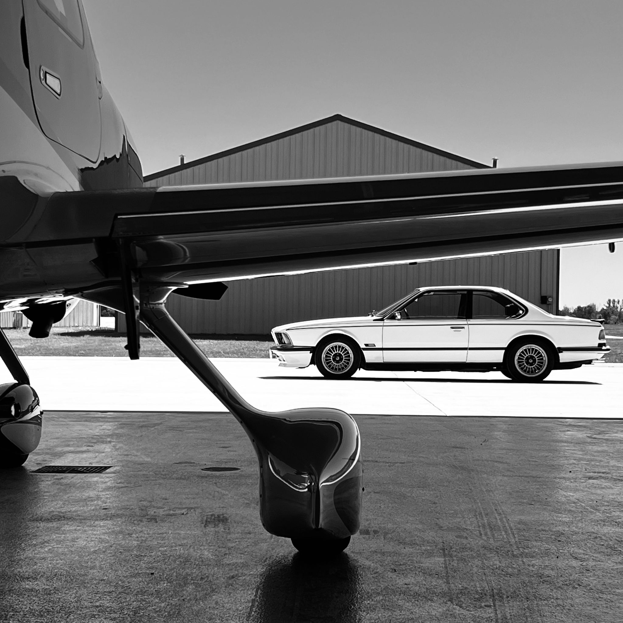 Profile of Craig Harvey