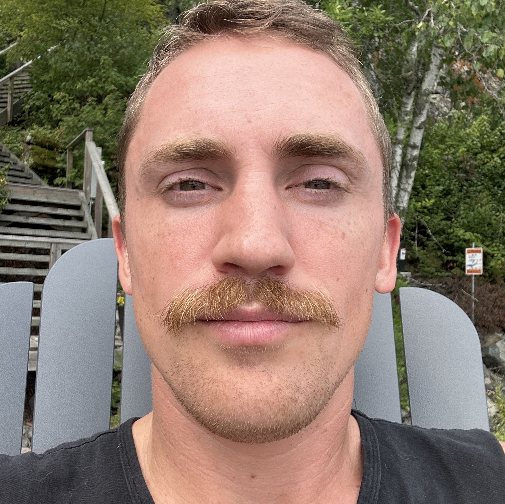 Profile of Mathew Maclennan