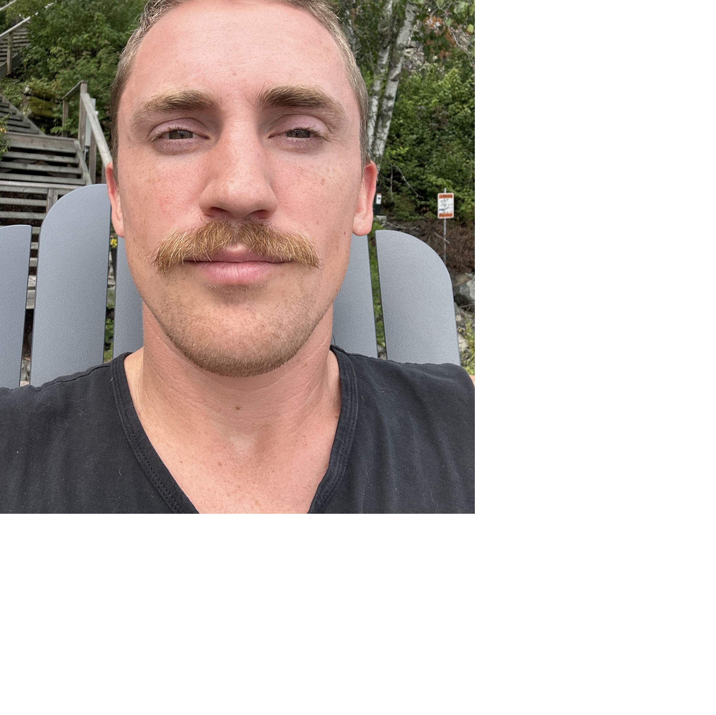 Profile of Mathew Maclennan