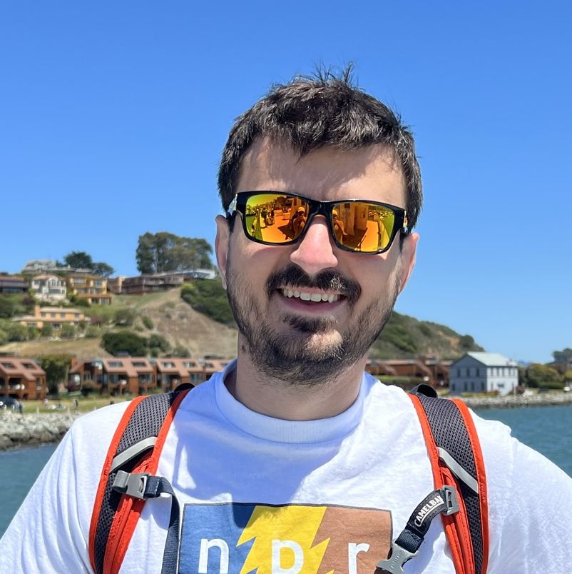 Profile of Sergiu Bogdan