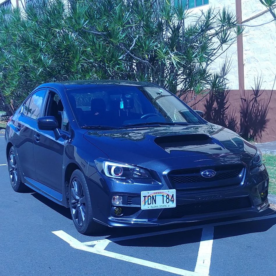 Profile of Jodie Barnes