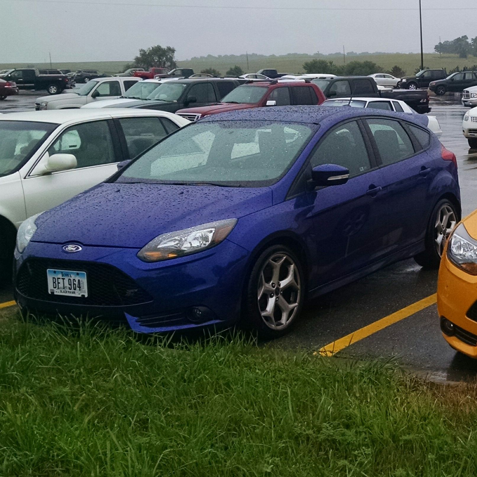 Profile of Lee Kersting