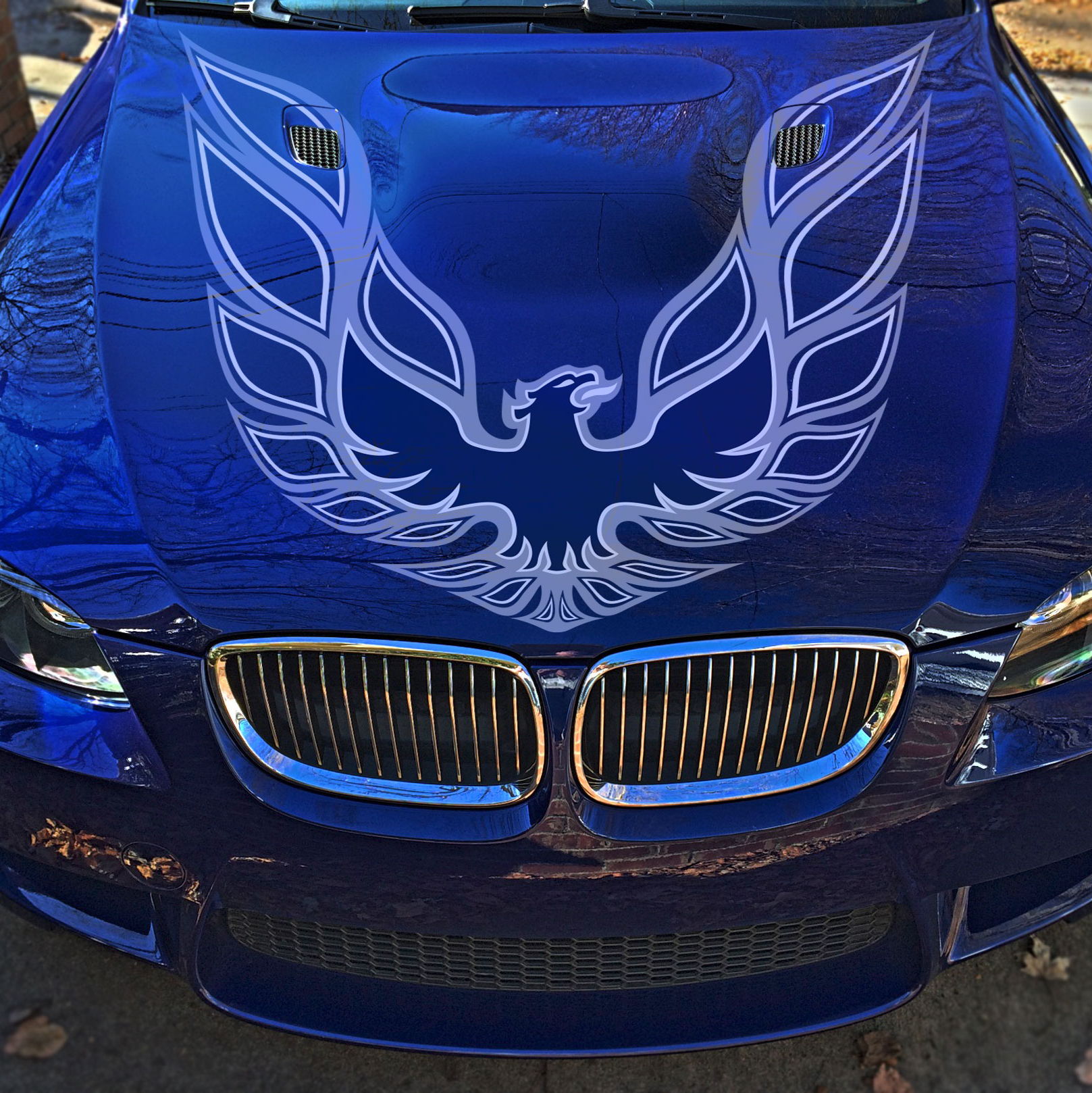 Profile of Randall Wilkinson