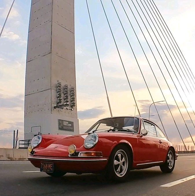 Profile of Joseph Bognanno