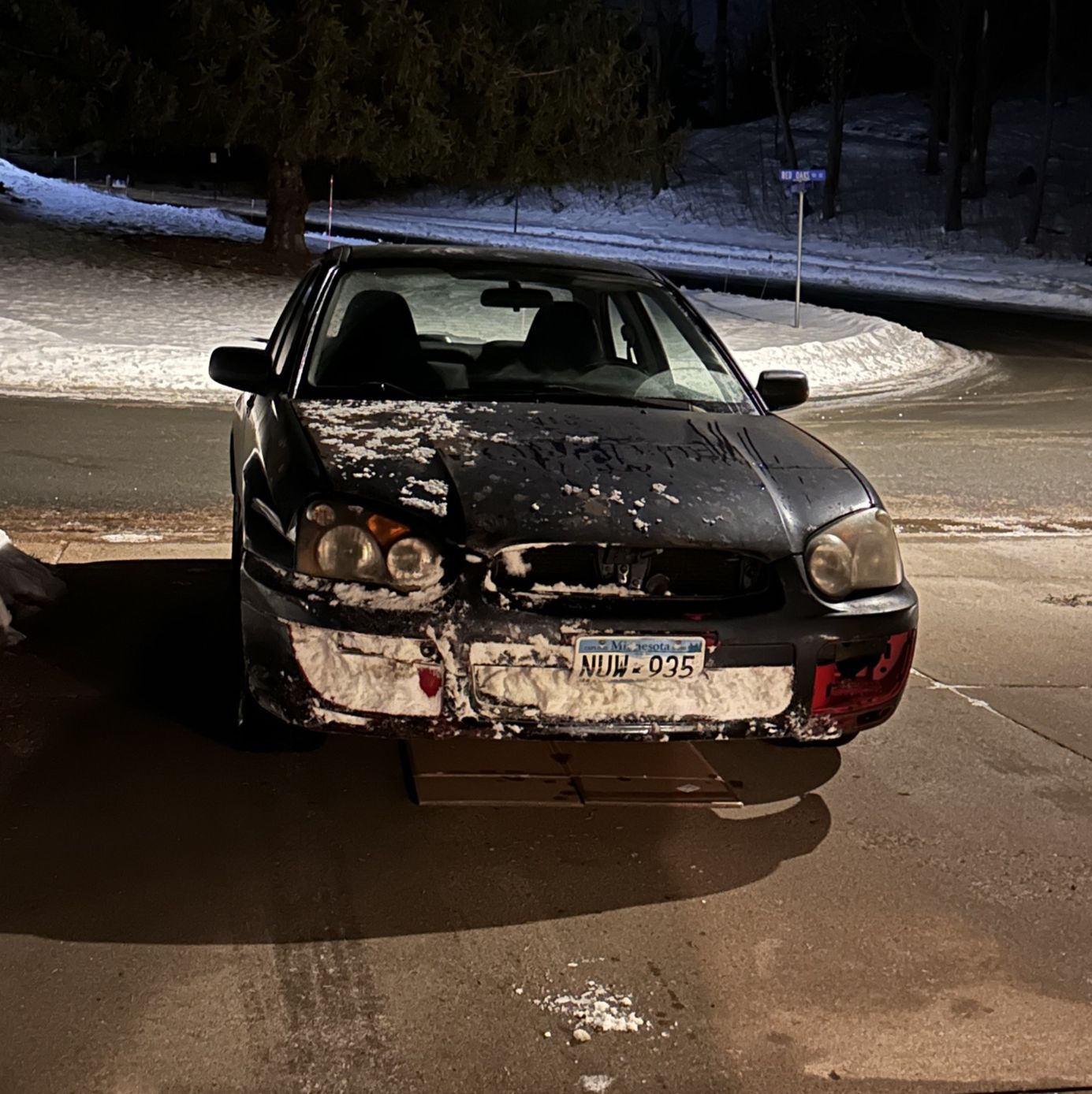 Profile of Aedan Gallagher