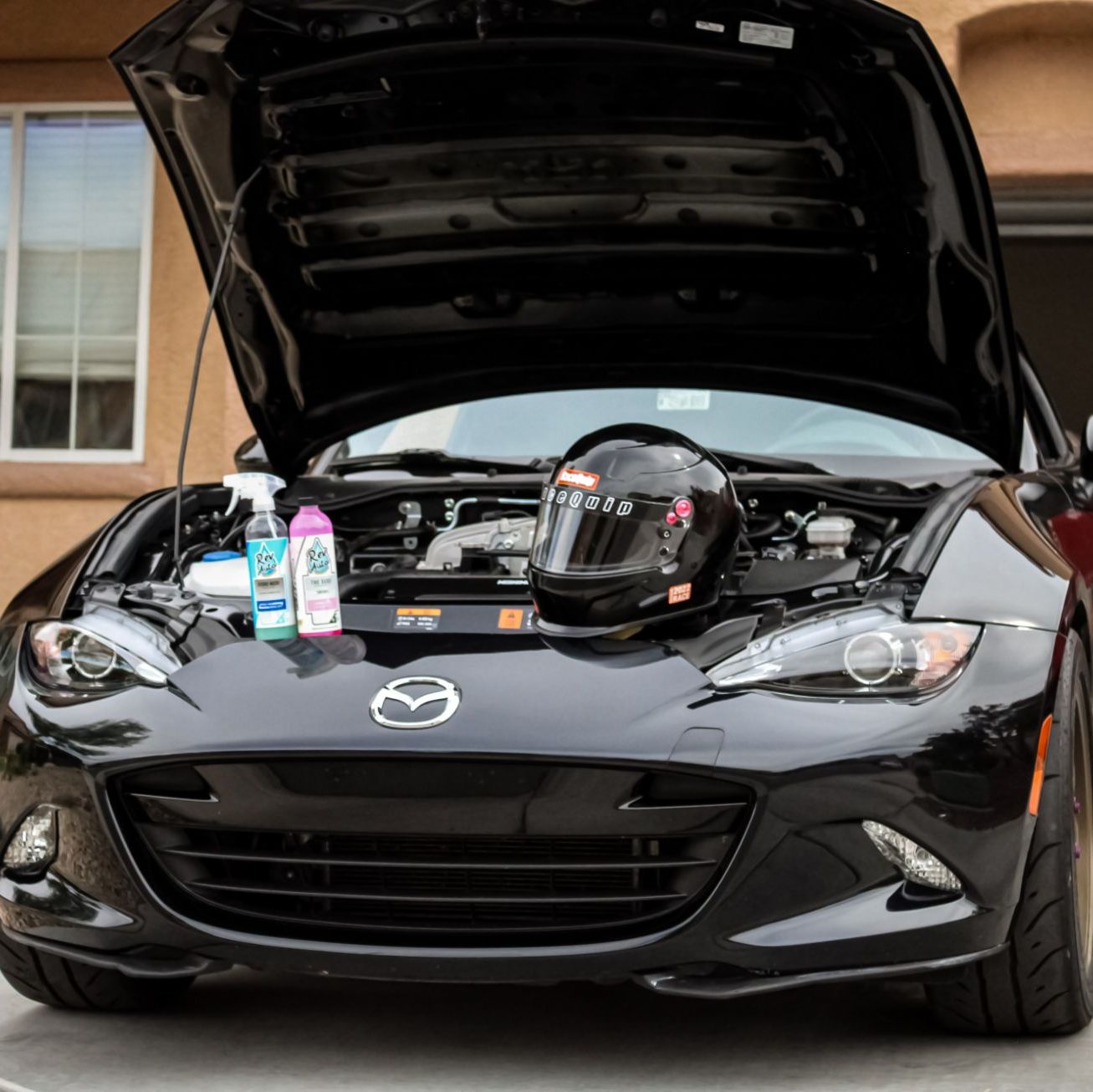 Profile of Dylan Guidry