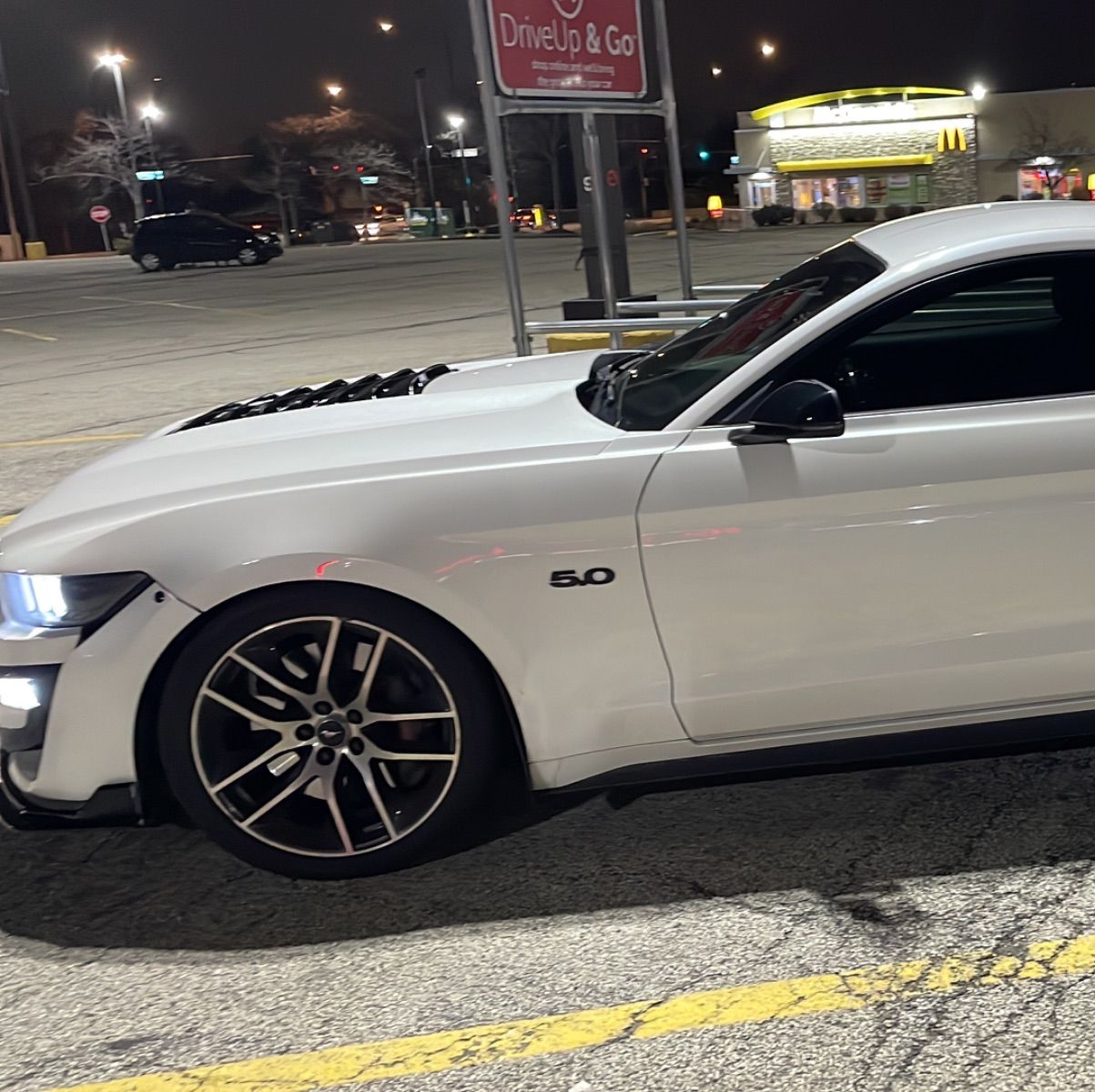 Profile of Josh Werner