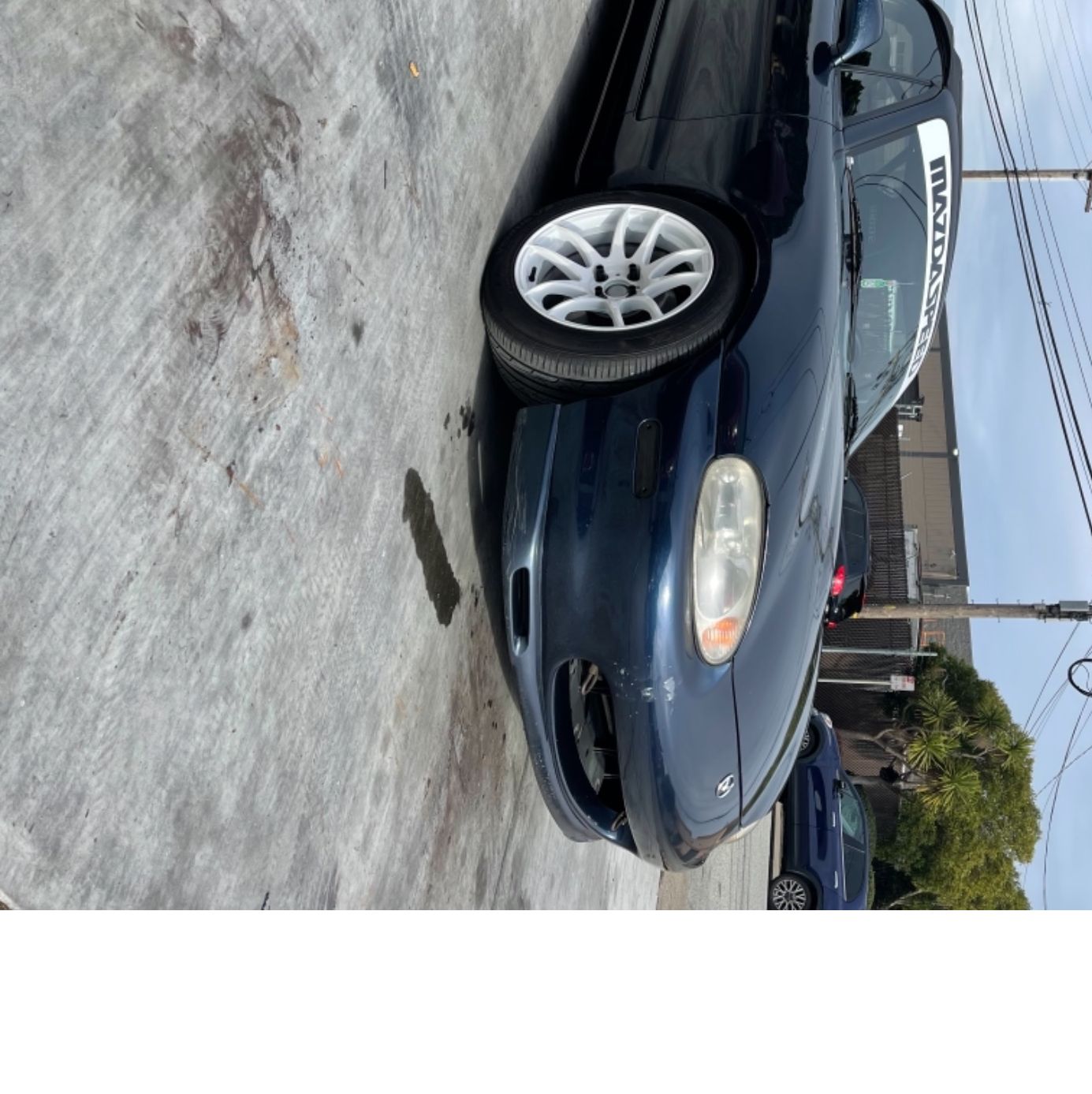 Profile of Mat Rogers