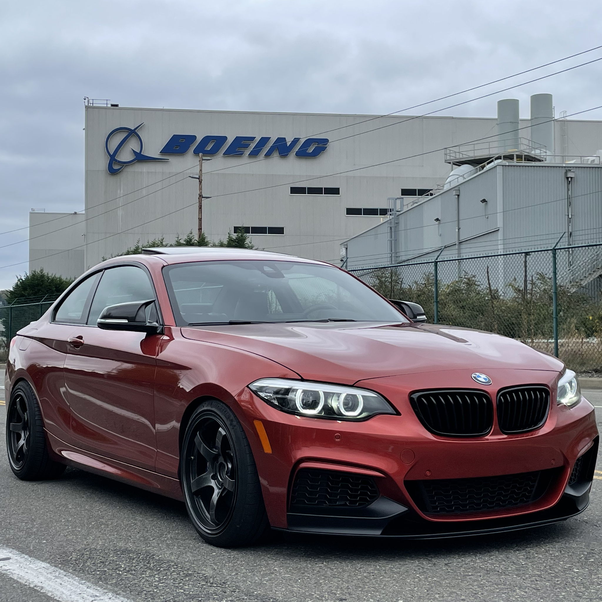 Profile of Eddie Delic