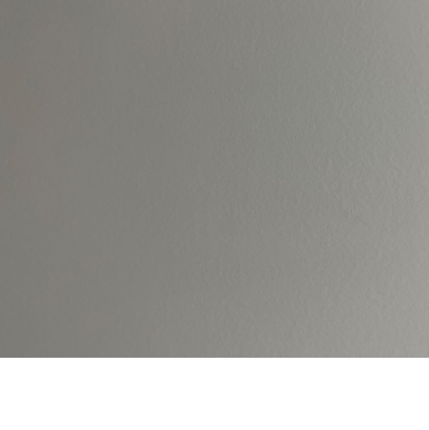 Profile of Johnny Lam