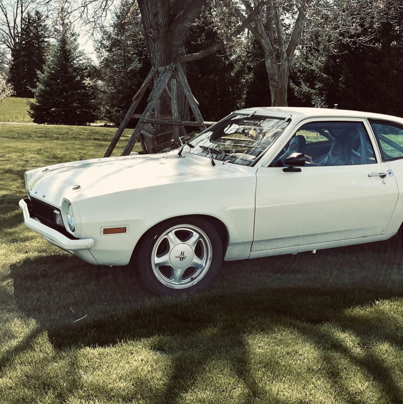 Profile of Max Renner