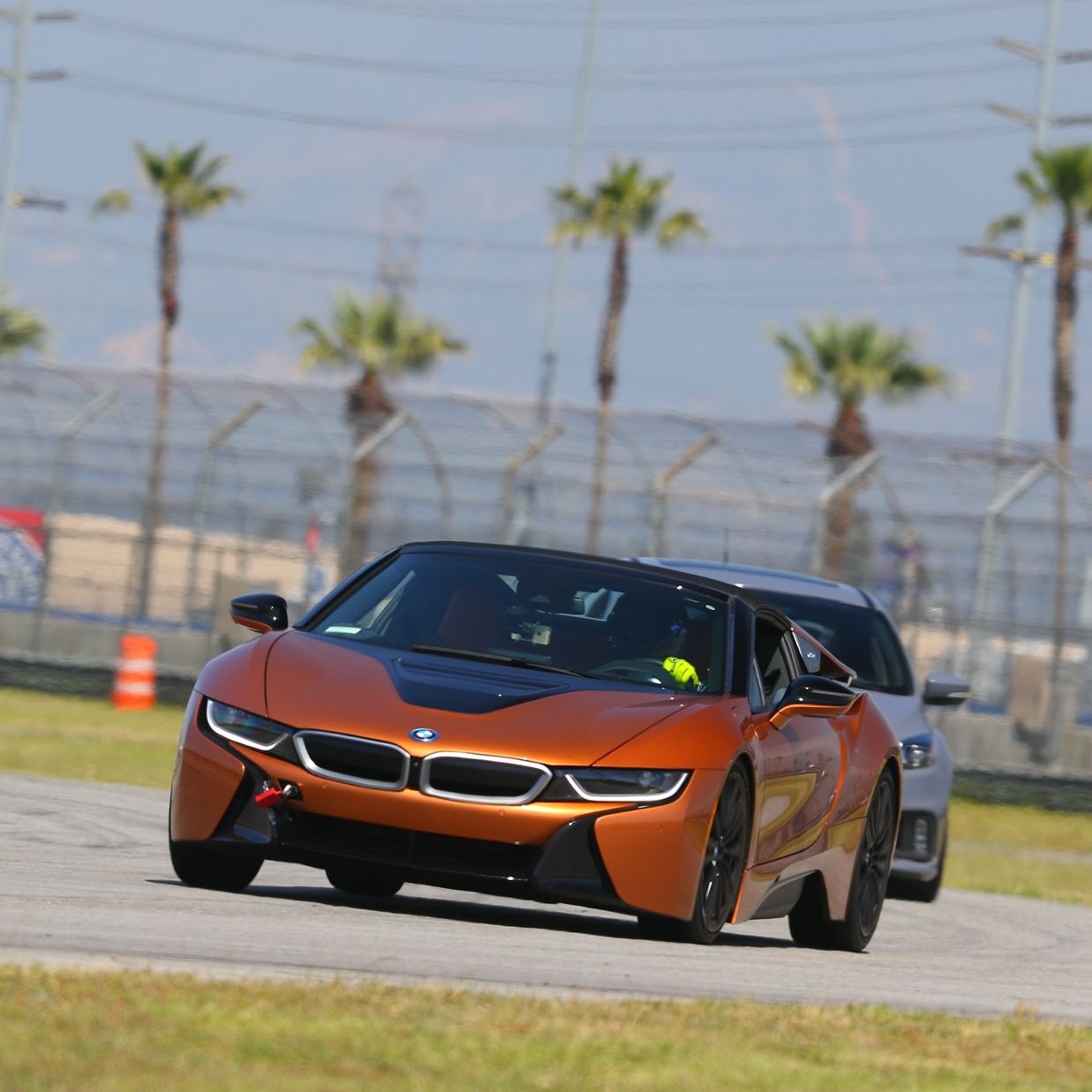 Profile of Omar Taylor