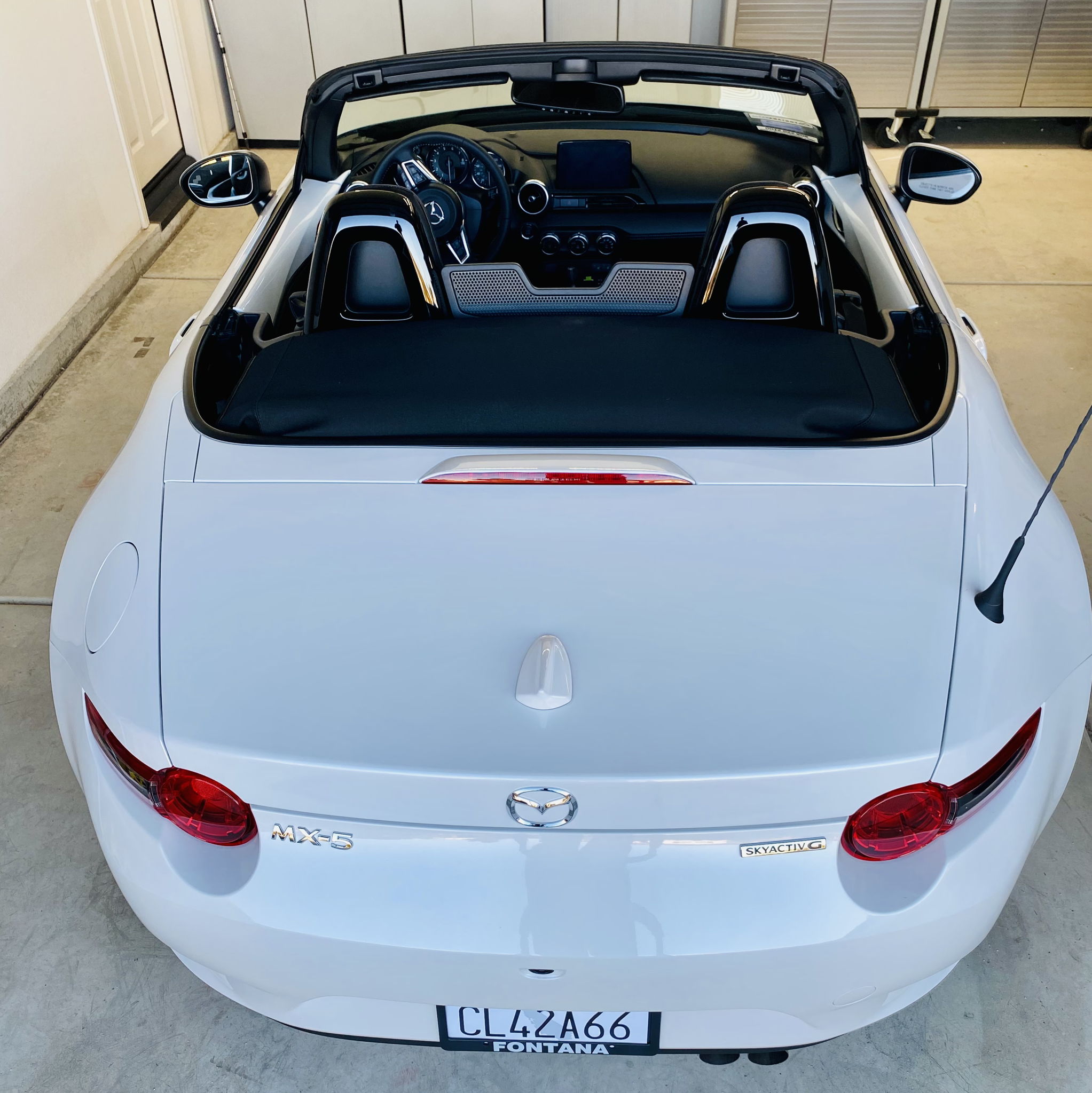 Profile of Robert Covington