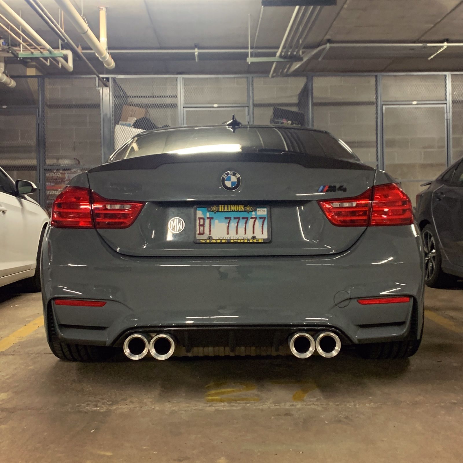 Profile of Dominik Niedzwiecki