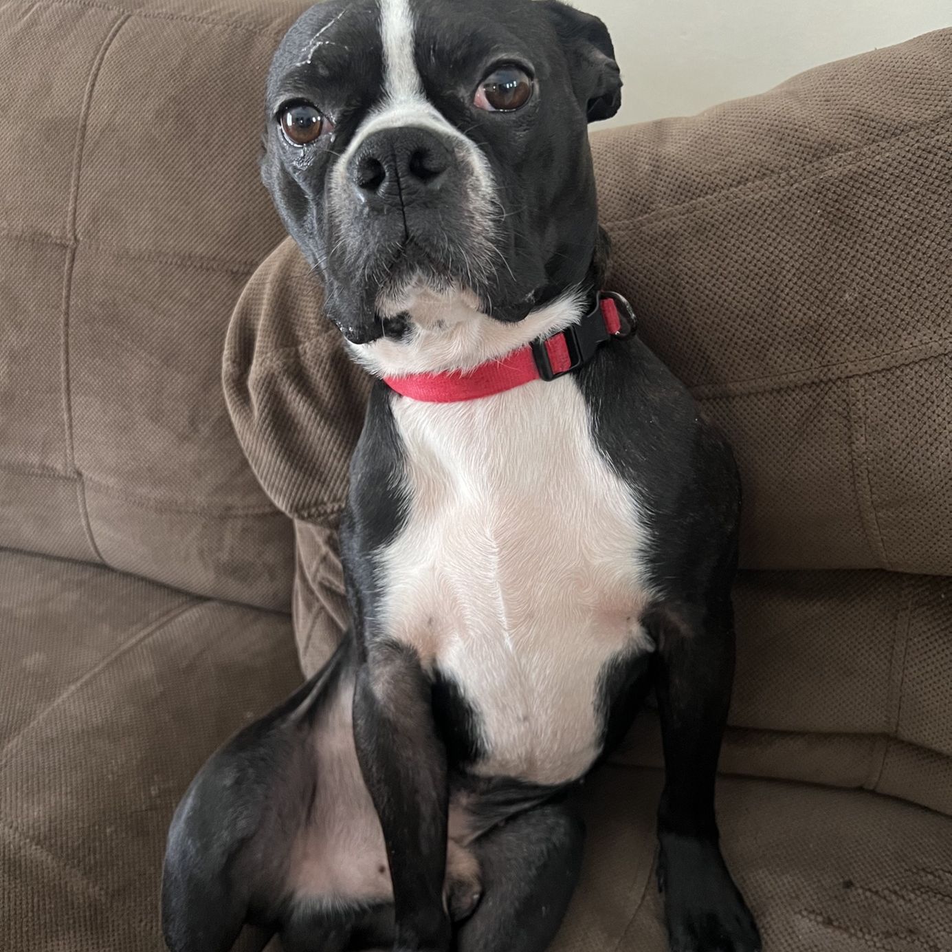 Profile of David Barszczewski