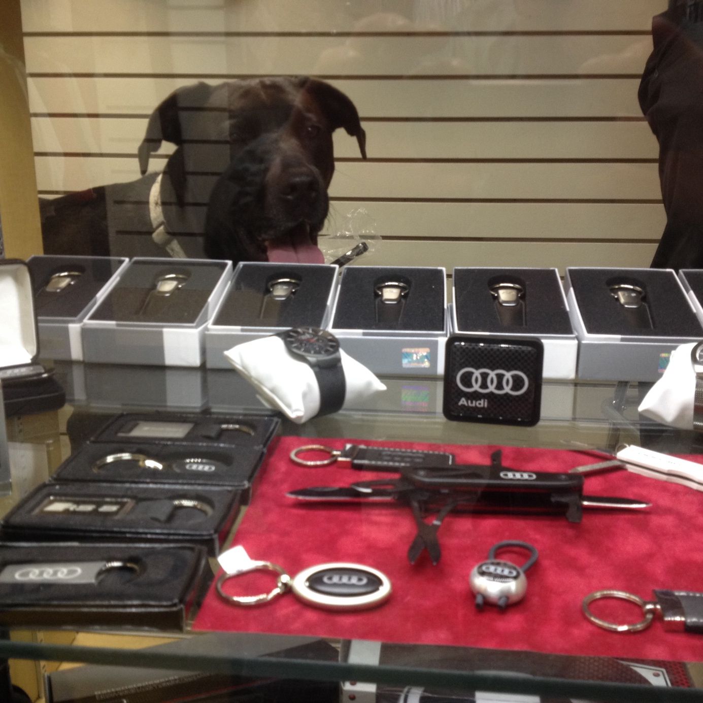 Profile of Linus Niedermeyer Jr