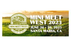 Mini Meet West 2023