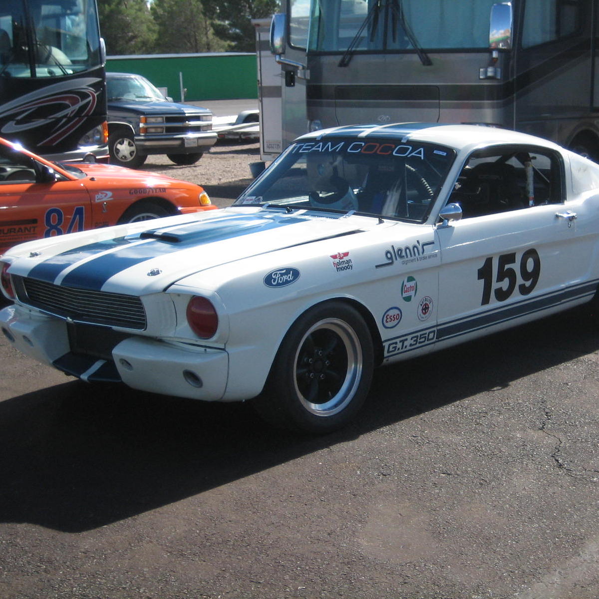 Profile of Sandy Galbraith