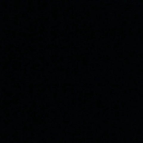 Profile of Raven Wilmington