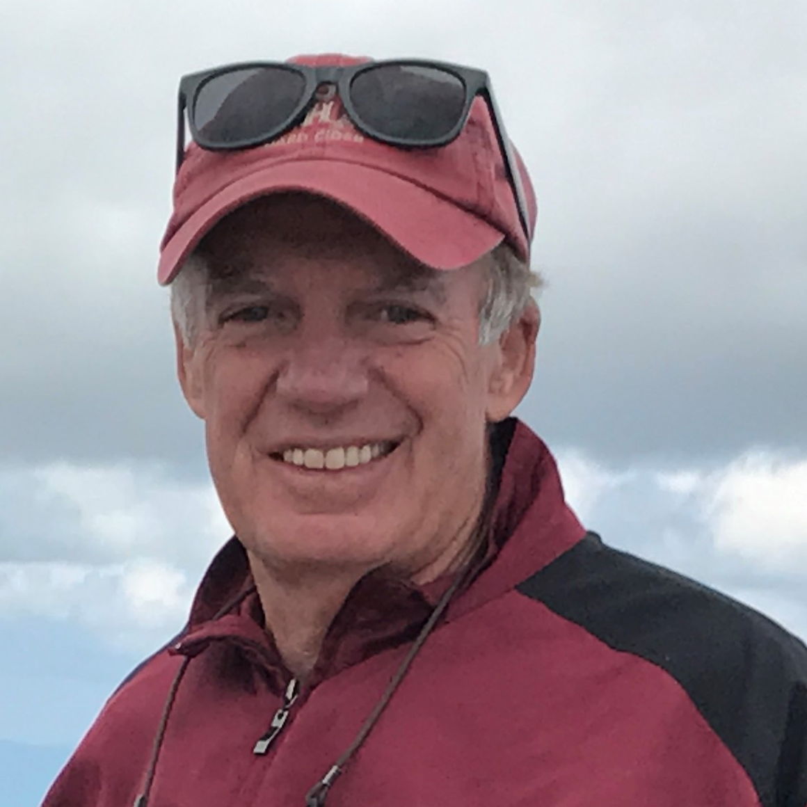 Profile of David Hickey