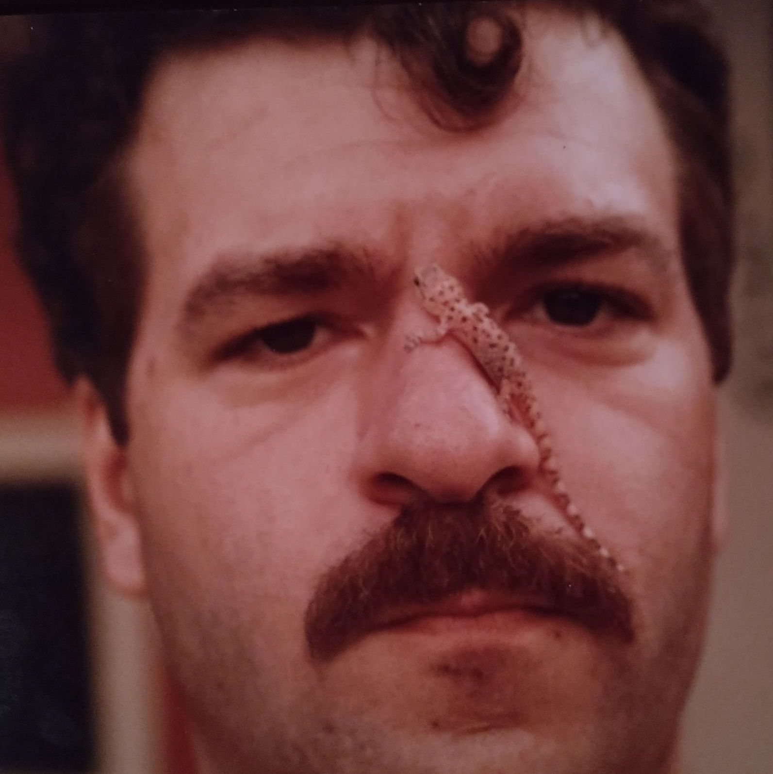 Profile of Michael Danner