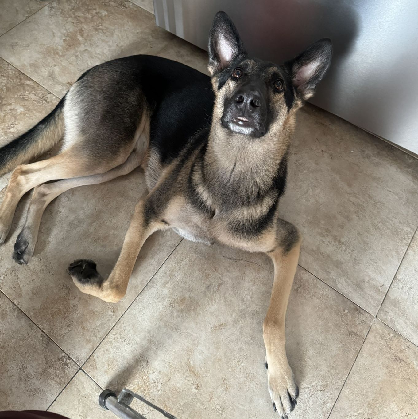 Profile of Jason Lin