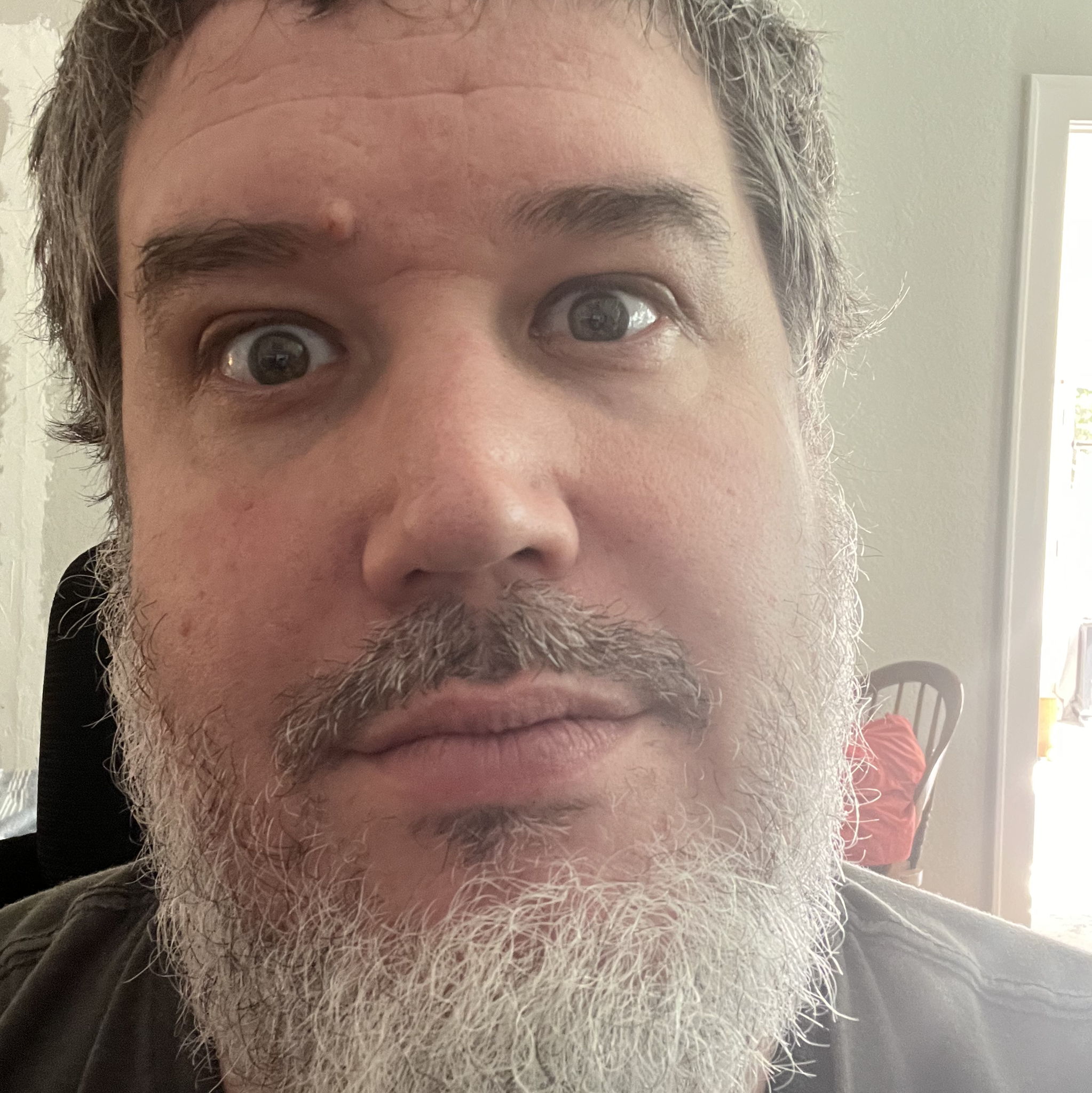 Profile of Josh Ostalkiewicz