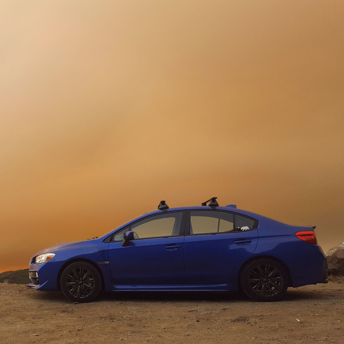 Profile of Jared Naito