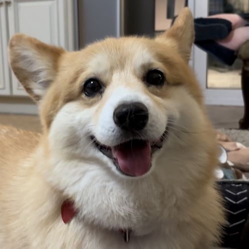 Profile of Ed Ceballos