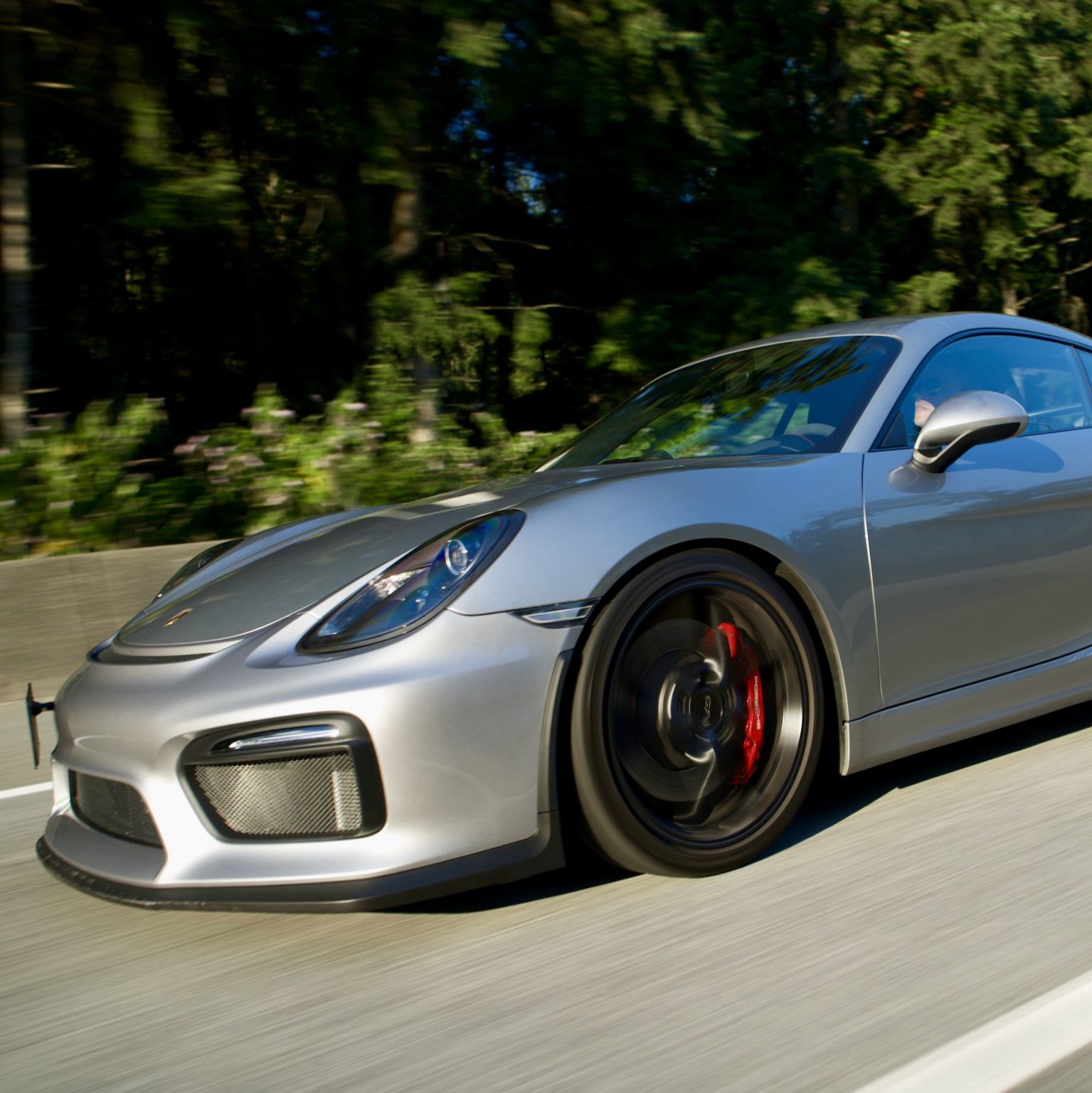 Profile of Gavin Mah