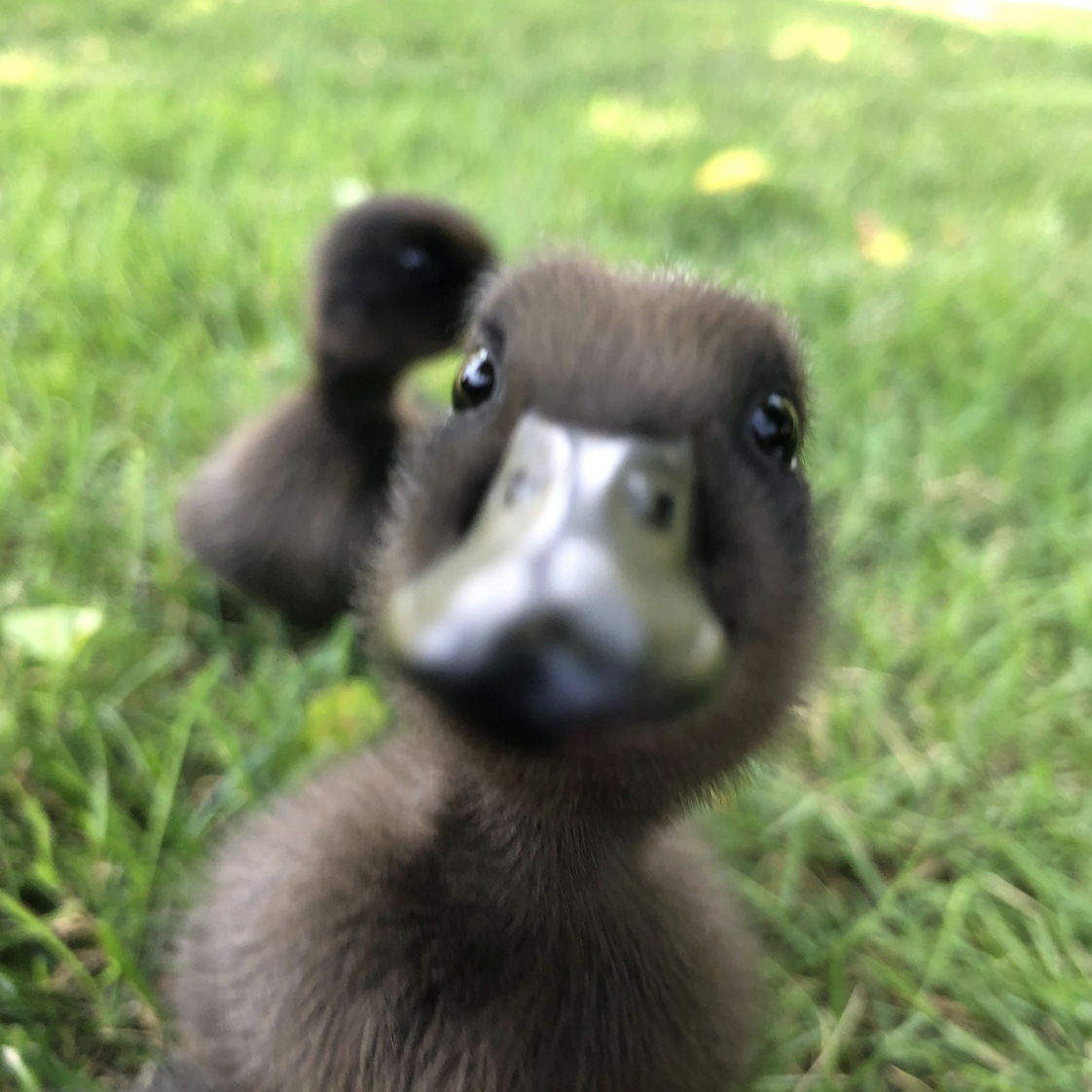 Profile of Cooper Ryan