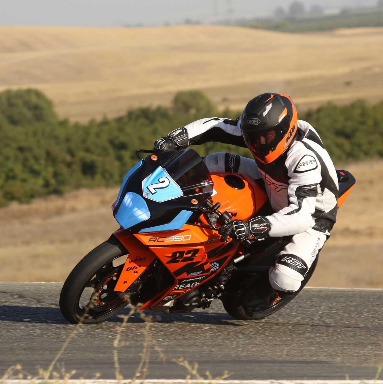 Profile of Deacon James