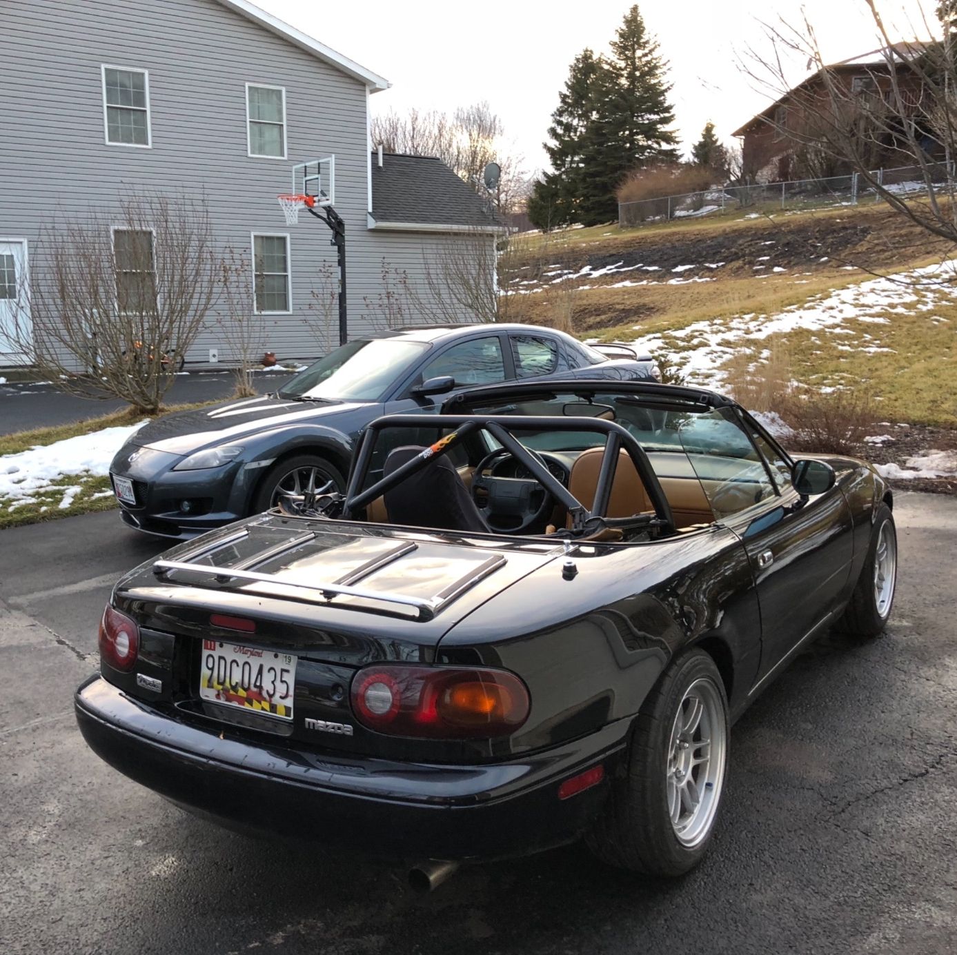 Profile of Luke Williams