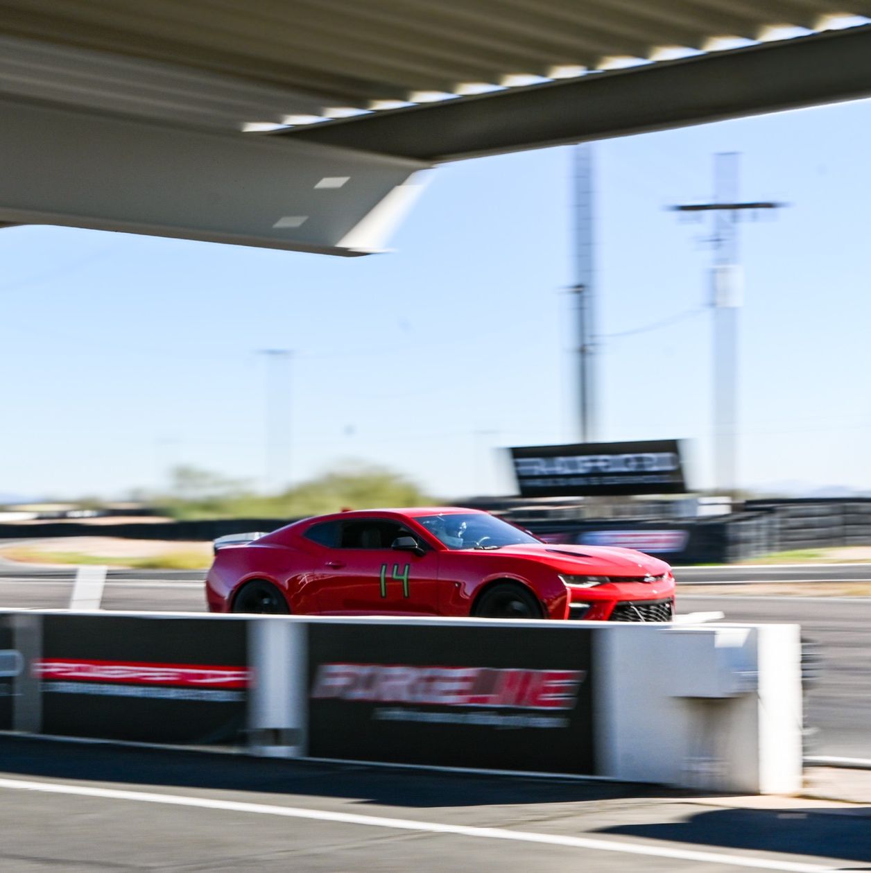 Profile of Marc Tate