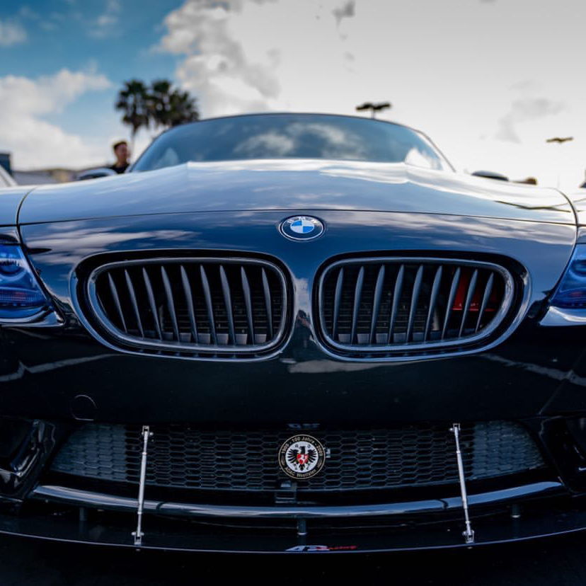 Profile of Anthony Pitcher