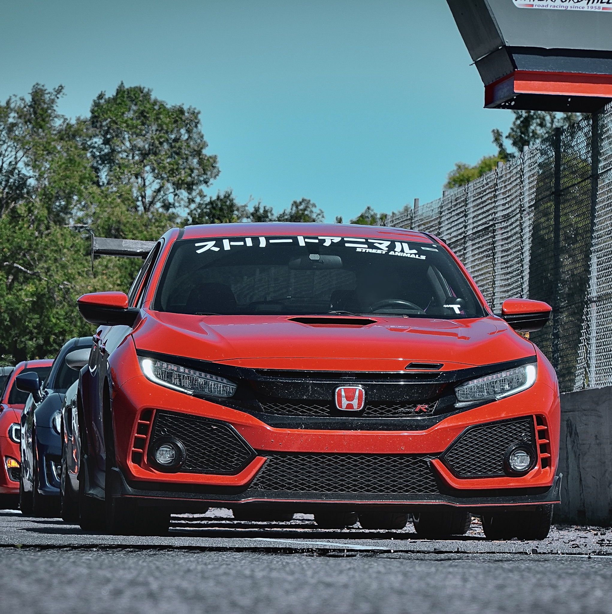 Profile of Daniel Collins