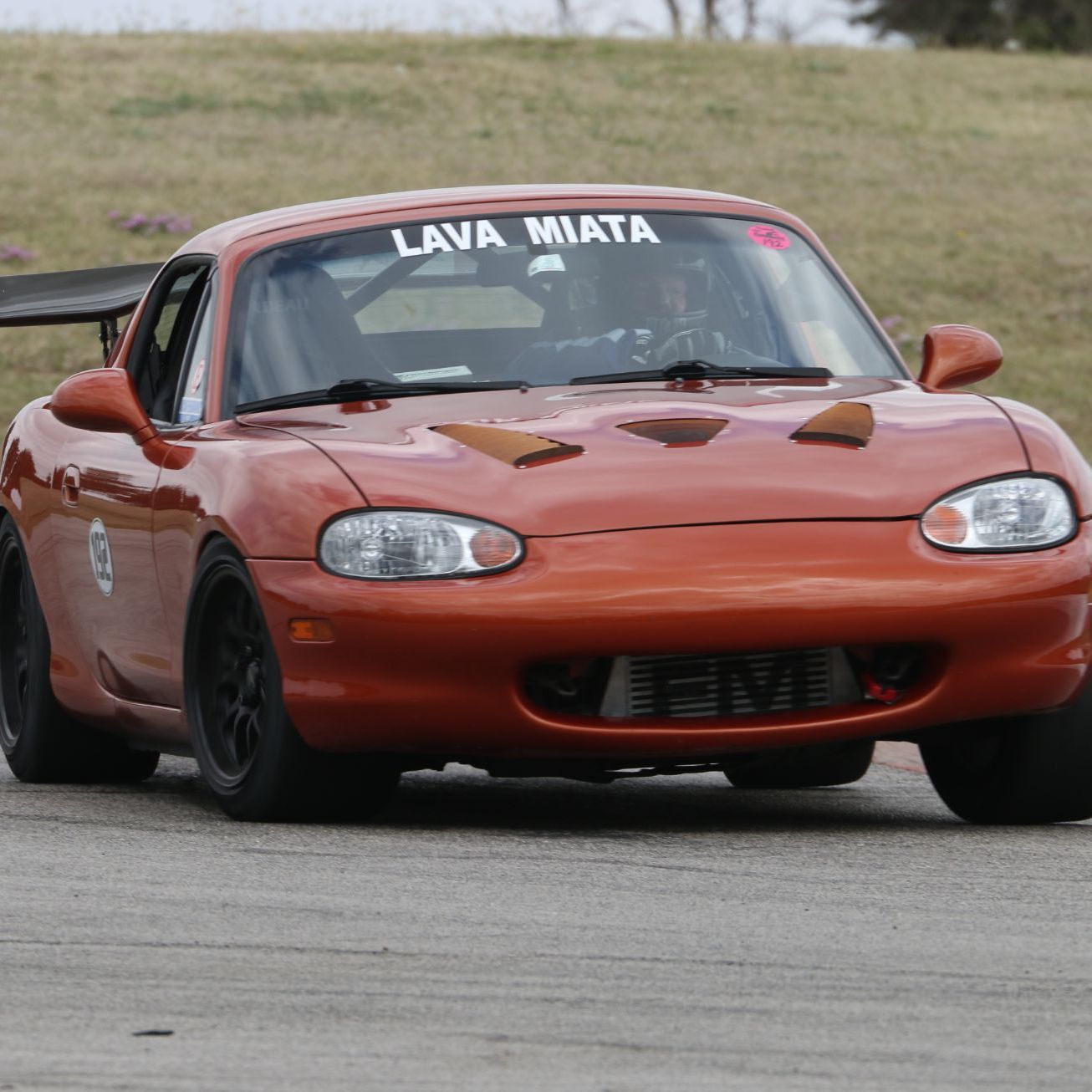 Profile of Mark Stoddard