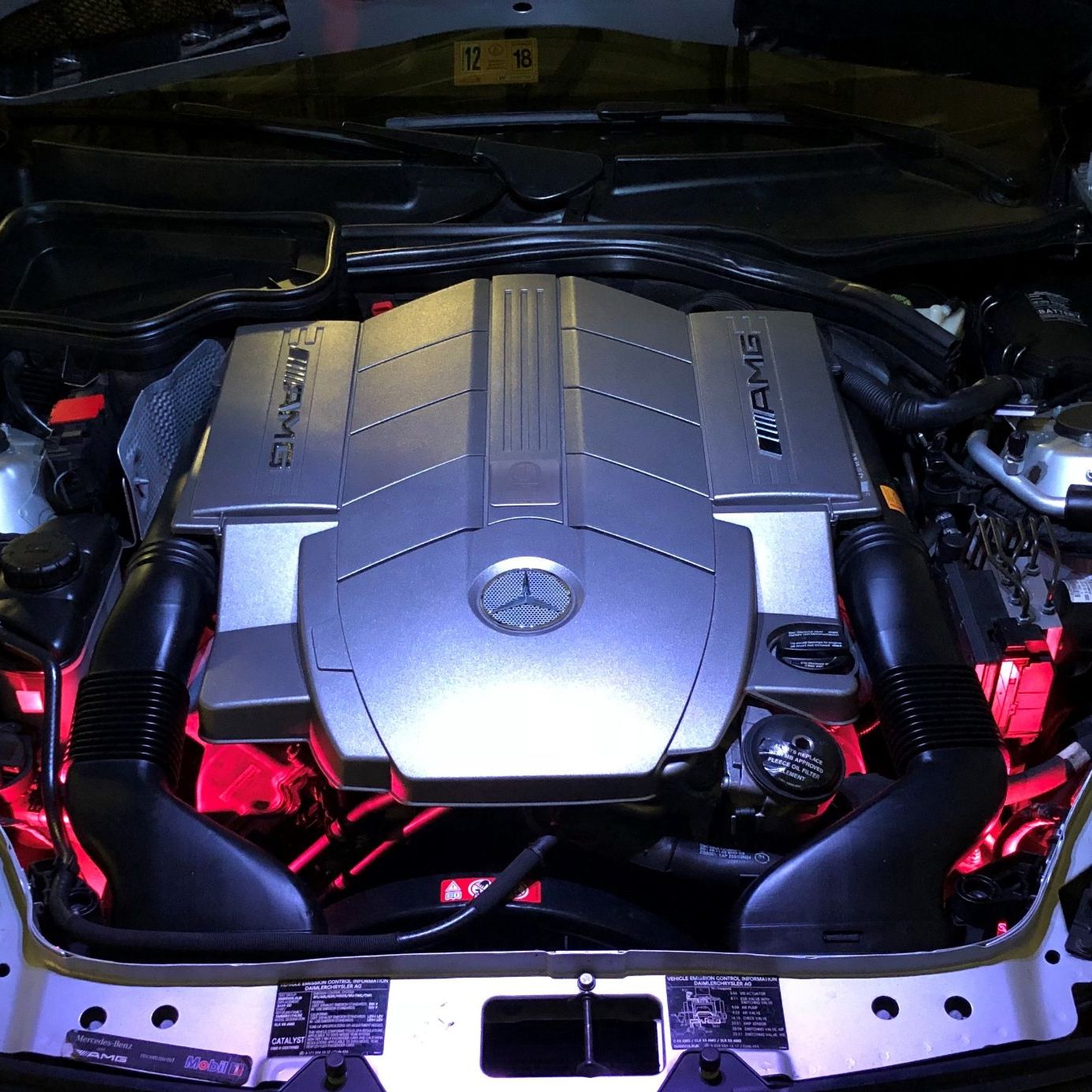 Profile of Richard Ziegler