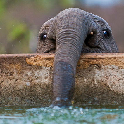 Profile of Ben Blumenthal