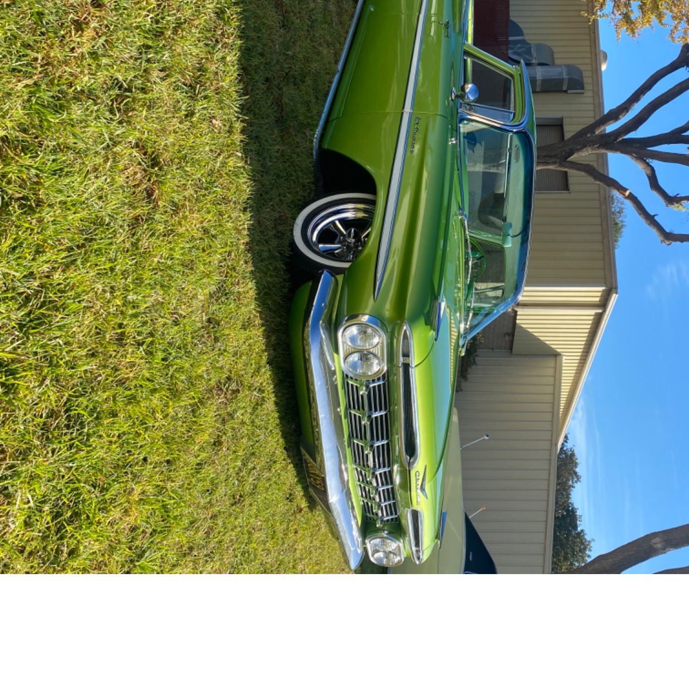 Profile of Jose Alvarado