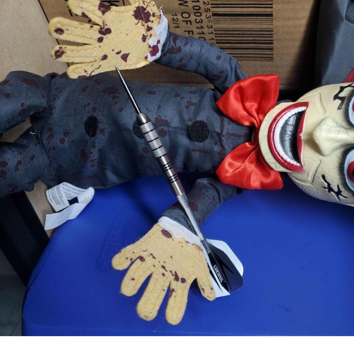 Profile of Tom Cavuoto