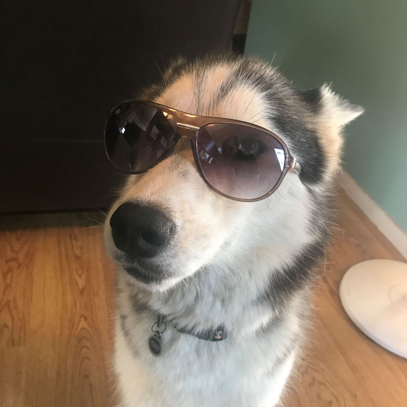 Profile of Mitchell ONeill