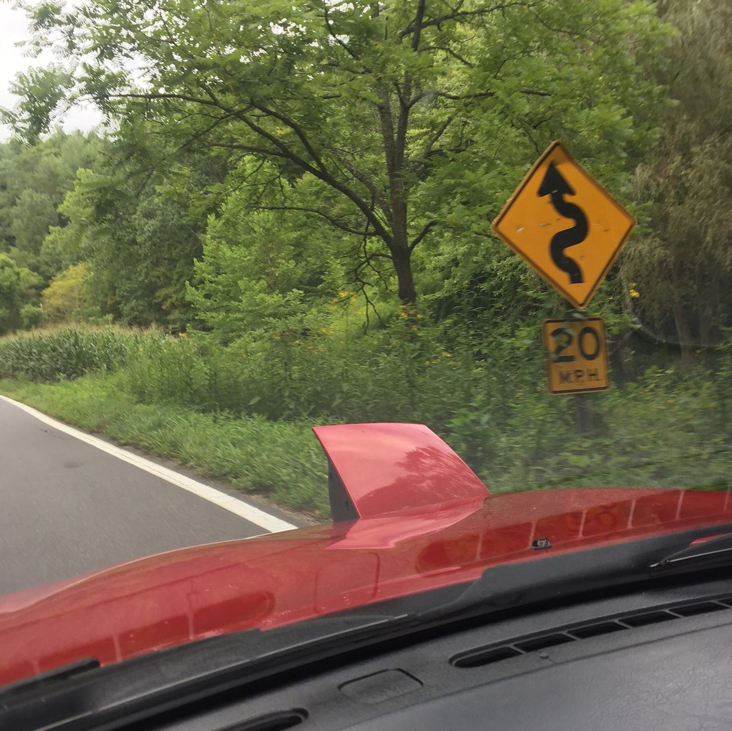 Profile of David Sluder