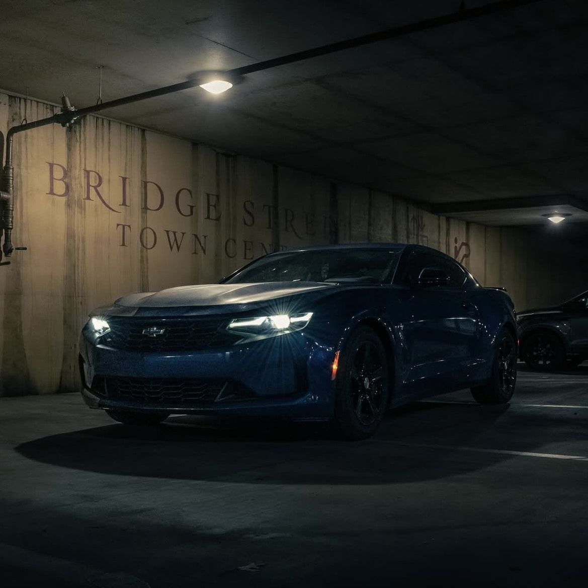 Profile of Theron Cornelius