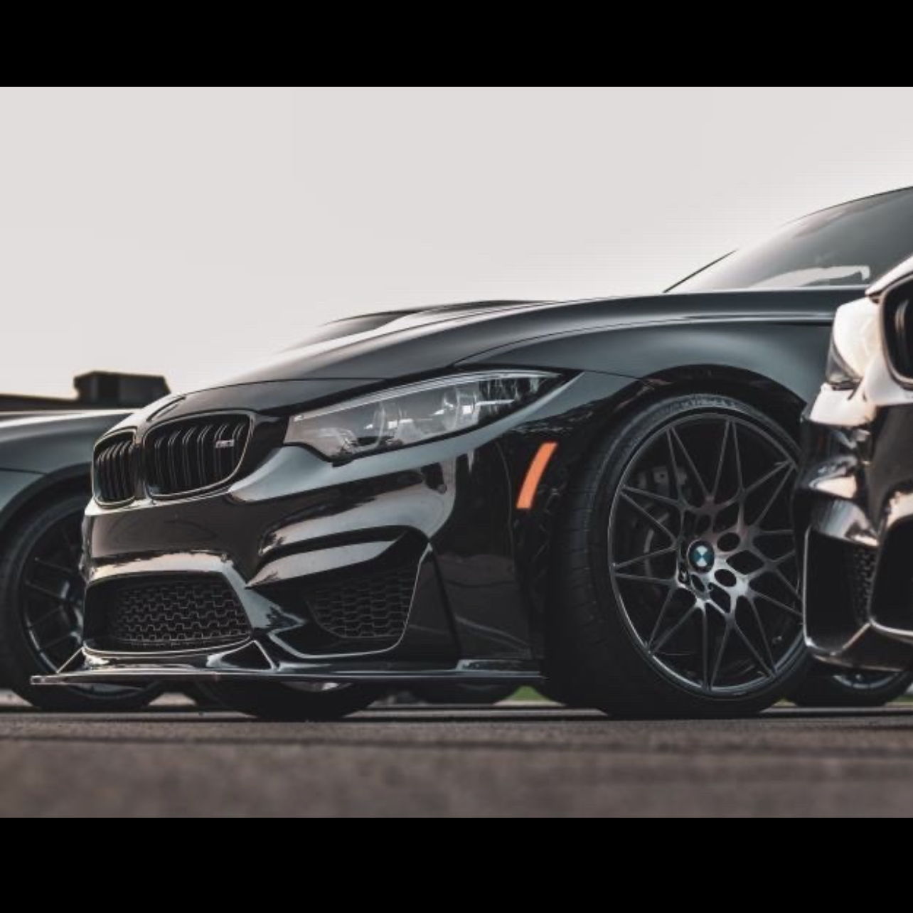 Profile of Alexander White