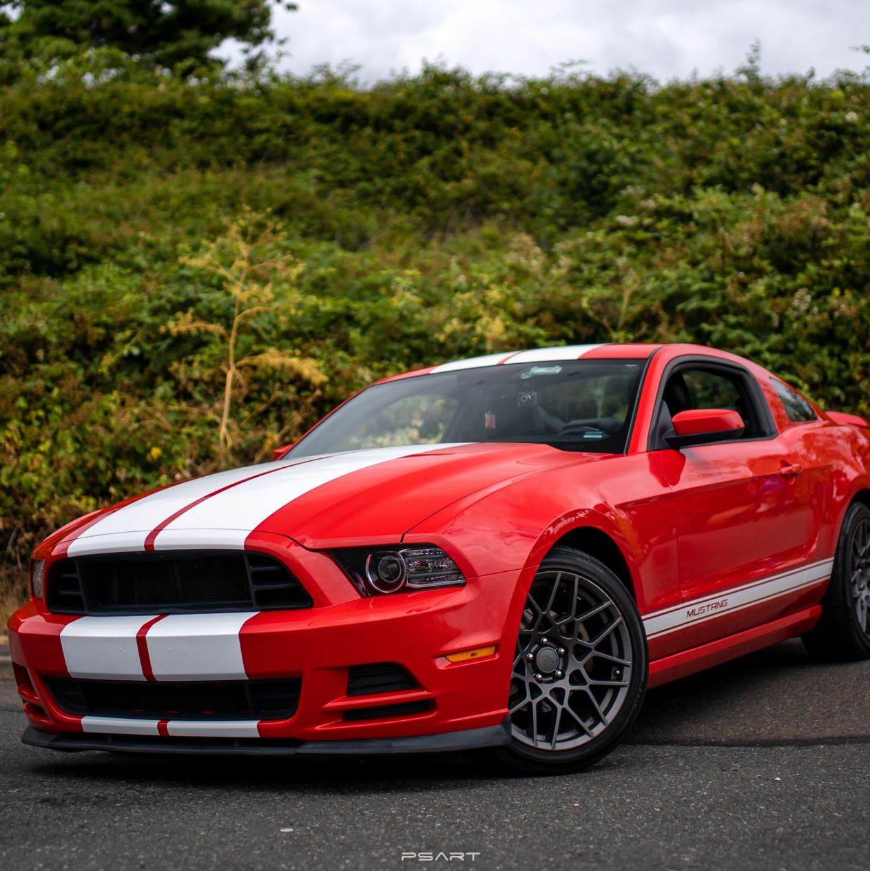 Profile of Kuan Jui Chen