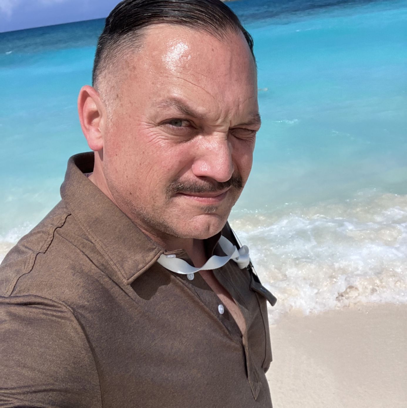Profile of Brian Ritchie