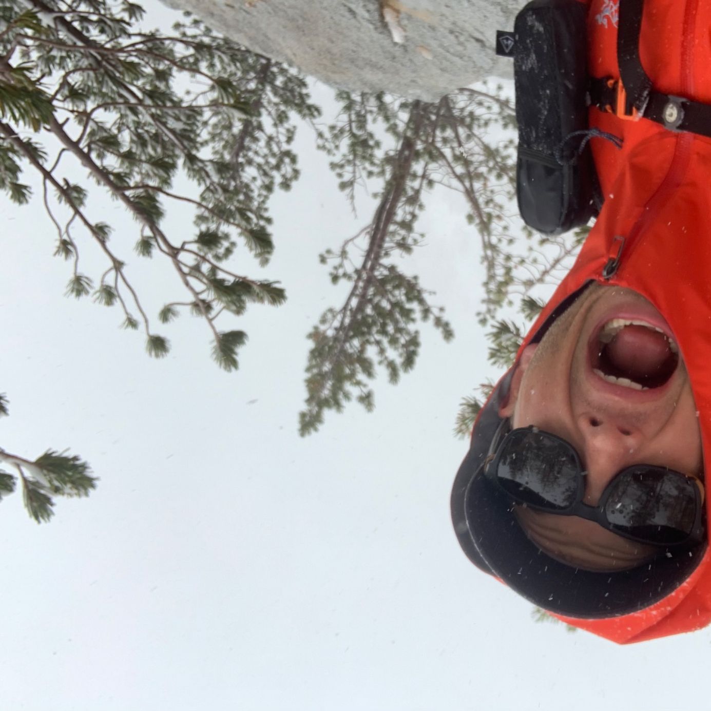 Profile of Gary Chamberlain