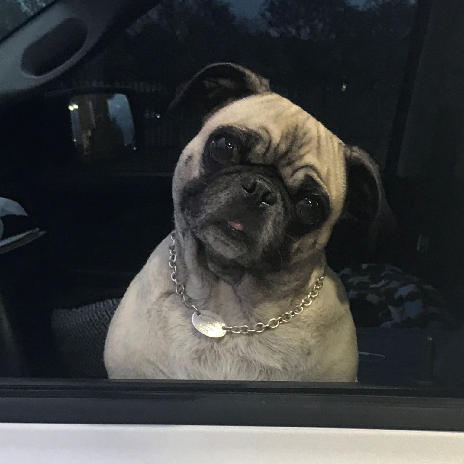 Profile of Keith Saunders