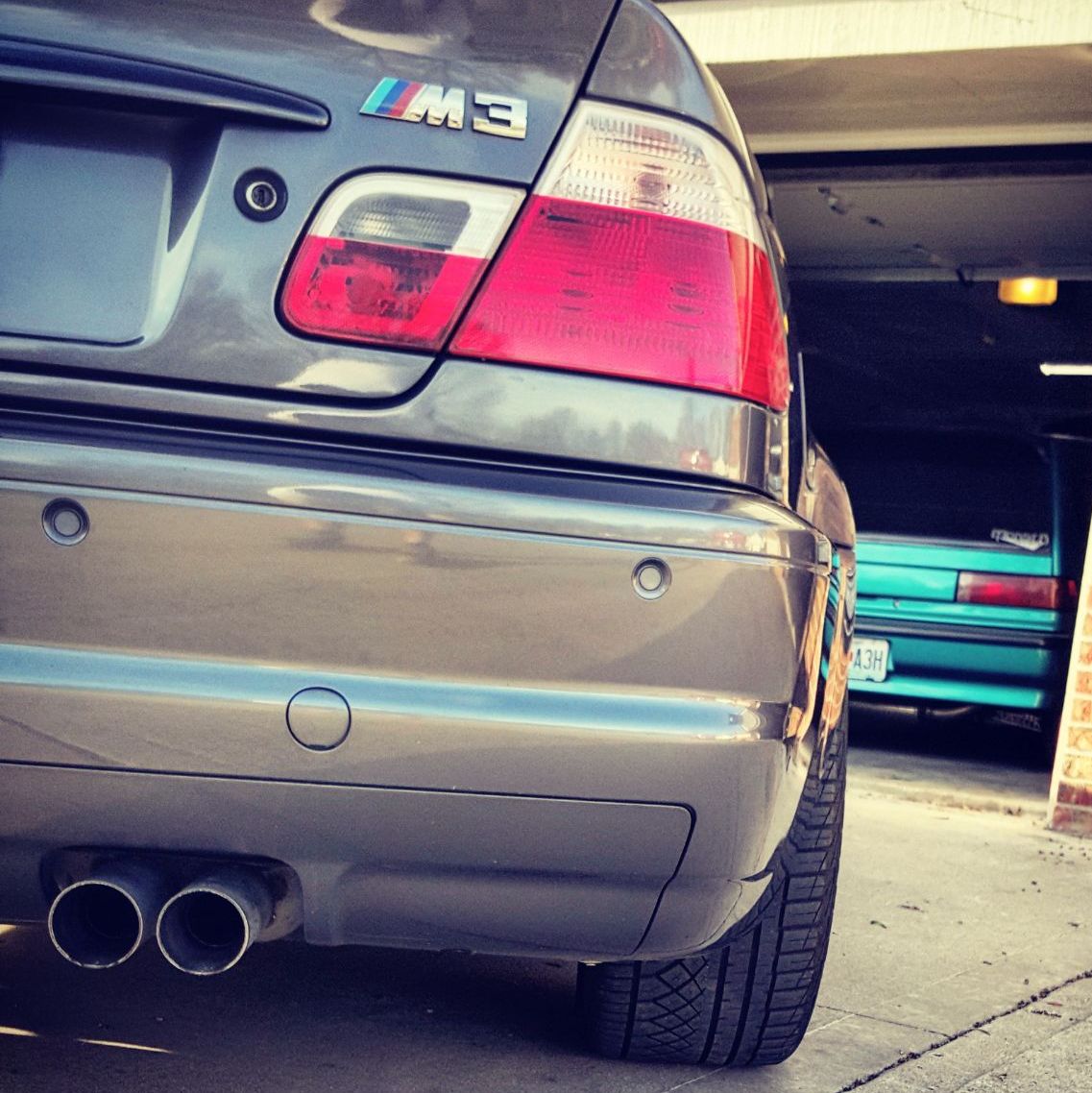 Profile of Daniel Milosevic